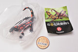 Capsule Q Museum The Complete of Poisonous and Dangerous Creature vol.2 [4.Salamandra salamandra (red)]