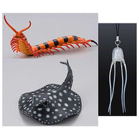 Capsule Q Museum The Complete of Poisonous and Dangerous Creature vol.2 [Assorted 3 type set(1.Scolopendra hardwickei/2.Potamotrygon leopoldi/5.Carybdea brevipedalia)]