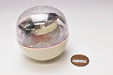 Tamagokakegohan light [1.Shoyugakenamatamago(white bowl)]