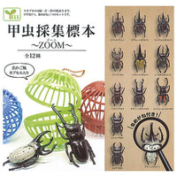 Beetle collection specimen-ZOOM- [All 12 type set(Full Complete)]