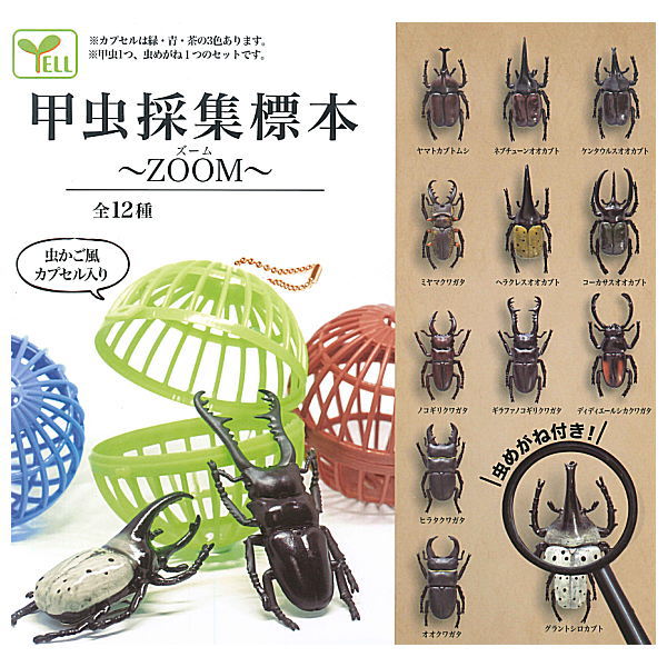 Beetle collection specimen-ZOOM- [All 12 type set(Full Complete)]