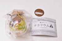 With magic stones! Terrarium II [3.Flame magic stone]
