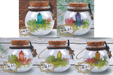 With magic stones! Terrarium II [All 5 type set(Full Complete)]