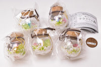 With magic stones! Terrarium II [All 5 type set(Full Complete)]