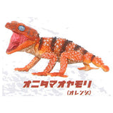 1/1 Central rough knob-tailed gecko & Armadillo girdled lizard [1.Central rough knob-tailed gecko (Orange)]