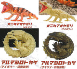 1/1 Central rough knob-tailed gecko & Armadillo girdled lizard [All 4 type set(Full Complete)]