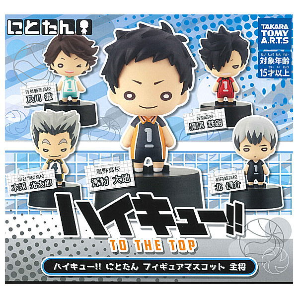 Haikyu!! TO THE TOP Nitotan Figure Mascot Captain [All 5 type set(Full Complete)]