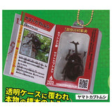 Insect Encyclopedia Mascot vol.1 Beetle Edition [1.Yamato Beetle]