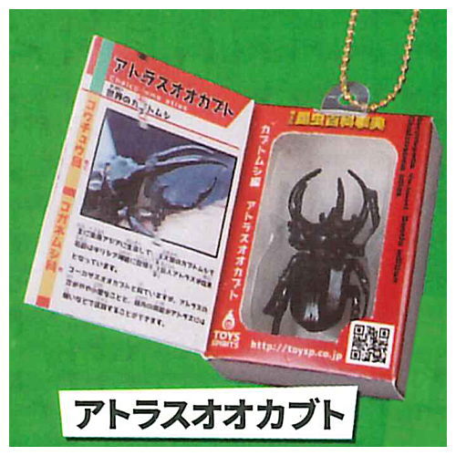 Insect Encyclopedia Mascot vol.1 Beetle Edition [3.Atlas Beetle]