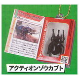 Insect Encyclopedia Mascot vol.1 Beetle Edition [6.Actaeon Beetle]