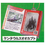 Insect Encyclopedia Mascot vol.1 Beetle Edition [7.Centaur Beetle]