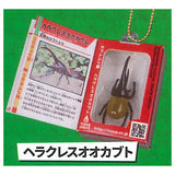 Insect Encyclopedia Mascot vol.1 Beetle Edition [10.Hercules Beetle]