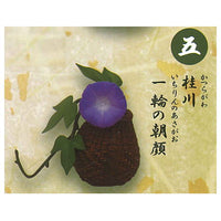 Japanease Historeal Tea utensil Part.4 Rikyu [5.Katsuragawa and Ichirin no Asagao]