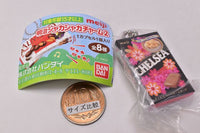 Meiji  Shakashaka Charm Part.2 [6.Chelsea (Butterscotch)]