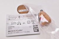 Hugcot Hamster Life SUKEROKU [3.Jiro (nut)]