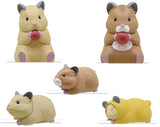 Hugcot Hamster Life SUKEROKU [All 5 type set(Full Complete)]