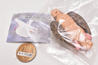 Tsukarekitta pigeon mascot figure Part.2 [5.Hetohetonitsukareta pigeon (kijibato)]