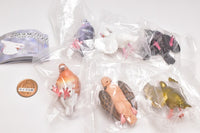 Tsukarekitta pigeon mascot figure Part.2 [All 6 type set(Full Complete)]