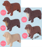 Nobinobi! Dachshund kun [All 5 type set(Full Complete)]