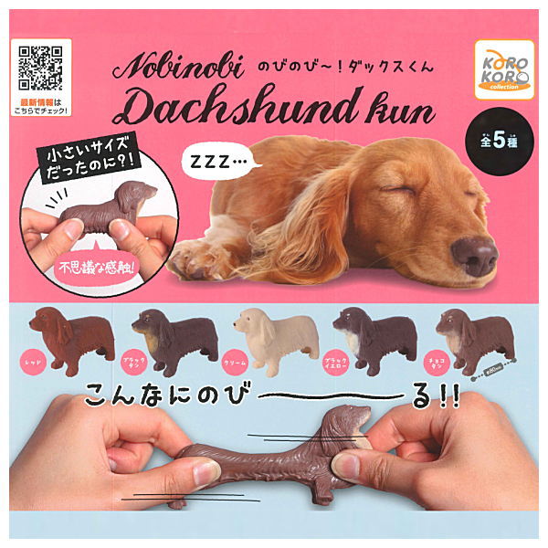 Nobinobi! Dachshund kun [All 5 type set(Full Complete)]