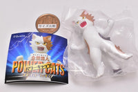 Zenkai nekojin Power cats mascot figure [4.MIKE]