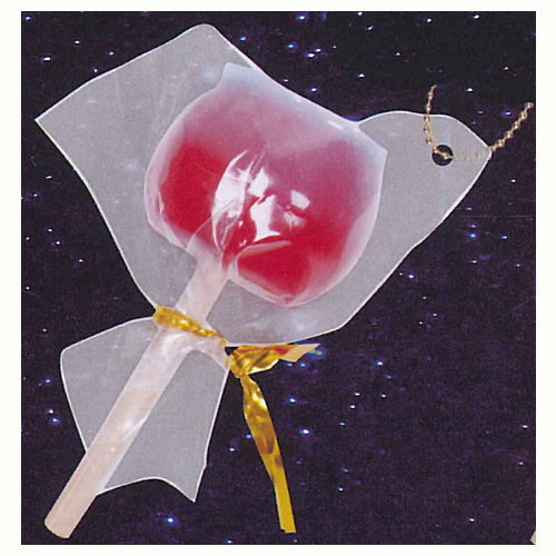Real Festive food mascot Part.3 [5.Candy apple]