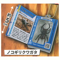 Insect Encyclopedia Mascot vol.2 Kuwagata Edition [2.Nokogiri Kuwagata]