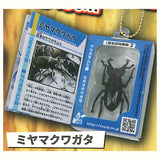 Insect Encyclopedia Mascot vol.2 Kuwagata Edition [3.Miyama Kuwagata]