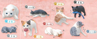 My cat Part.2 [All 8 type set(Full Complete)]