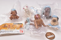 Animal Sauna 04 [All 5 type set(Full Complete)]