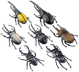 Big size world insects part.3 [All 7 type set(Full Complete)]