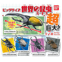 Big size world insects part.3 [All 7 type set(Full Complete)]