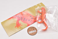 Nature Technicolor MONO PLUS Newt and Japanese giant salamander  Ball Chain & Magnet [4.Japanese fire belly newt (red change magnet)]