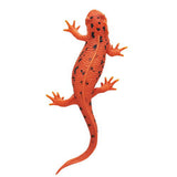 Nature Technicolor MONO PLUS Newt and Japanese giant salamander  Ball Chain & Magnet [4.Japanese fire belly newt (red change magnet)]