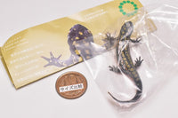 Nature Technicolor MONO PLUS Newt and Japanese giant salamander  Ball Chain & Magnet [6.Sword-tailed newt (magnet)]