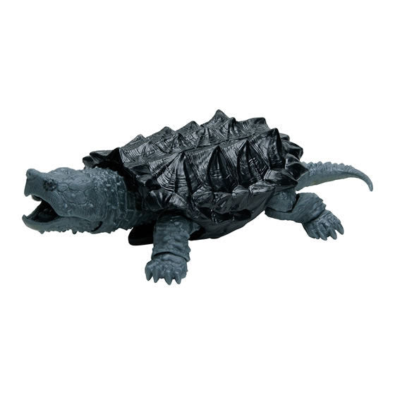 Turtle 04 Box Turtle [4.Alligator snapping turtle (new color black ver.)]