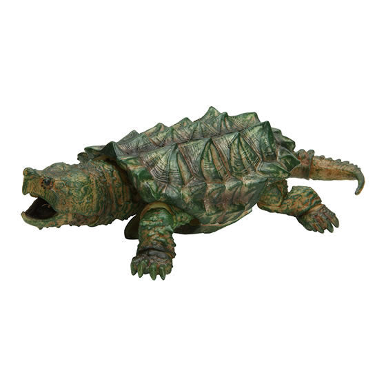 Turtle 04 Box Turtle [5.Rare: Alligator snapping turtle (real color ver.)]