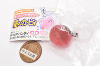 Mejirushi Accessory Hoshi no Kirby [8.Maxim Tomato (Wakka Parts ver.)]