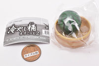 Hiyashi Oke Mascot Part.2 [1.Watermelon (with ice)]