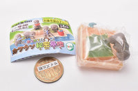 Atsumete Otter secret base [6.Land and otter (mogumogu)]