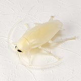 Capsule Q Museum Wondercomer vol.1 [3.Cockroach (clear white)]