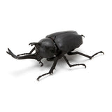 Beetle Gashapon [1.Yamato beetle (black)]