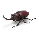 Beetle Gashapon [2.Yamato beetle (red brown)]