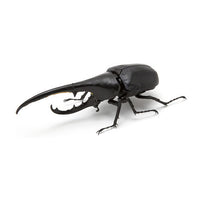 Beetle Gashapon [4.Hercules hercules (black)]