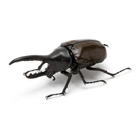 Beetle Gashapon [5.Hercules bleuzeni (brown)]