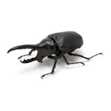 Beetle Gashapon [6.Hercules bleuzeni (black)]