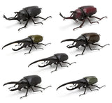 Beetle Gashapon [All 7 type set(Full Complete)]