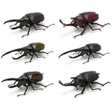 Beetle Gashapon [Normal 6 type set(Rare is NOT including)]