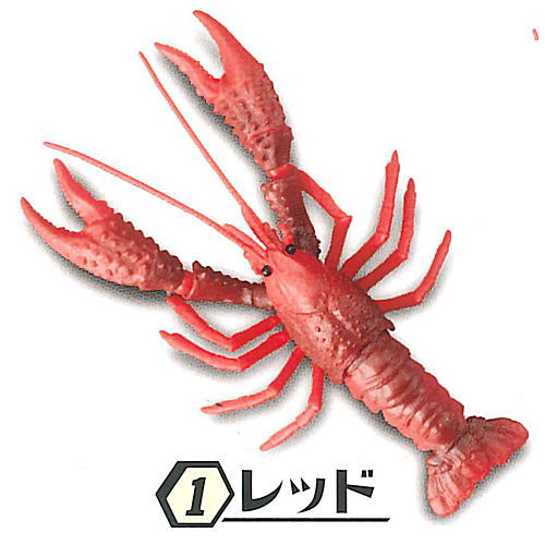 Crayfish [1.Red]