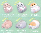 Cable Kajikaji Hamster Kyukyu [All 6 type set(Full Complete)]